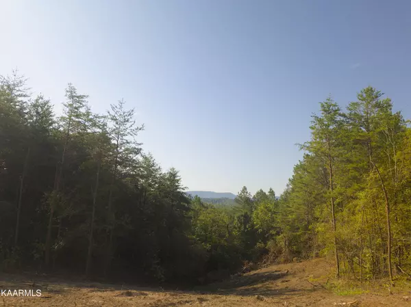 Vonore, TN 37885,Tract 2 Bill Moser Rd