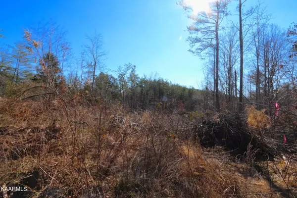 Vonore, TN 37885,449 Bill Moser Rd Tract 3