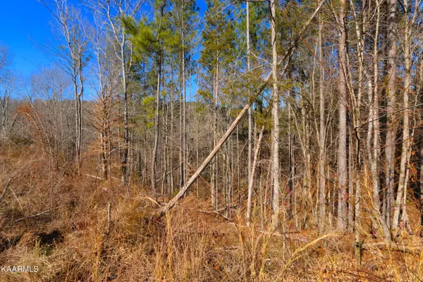 Vonore, TN 37885,449 Bill Moser Rd Tract 3