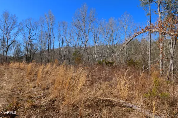 449 Bill Moser Rd Tract 3, Vonore, TN 37885