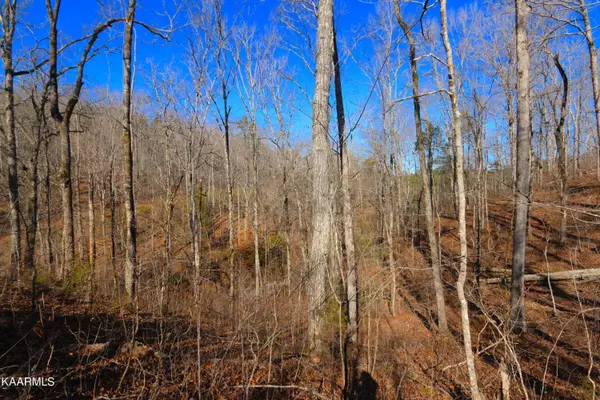 Vonore, TN 37885,411 Bill Moser Rd Tract 7