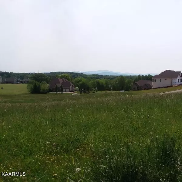 Vonore, TN 37885,L 1125 Red Hawk DR