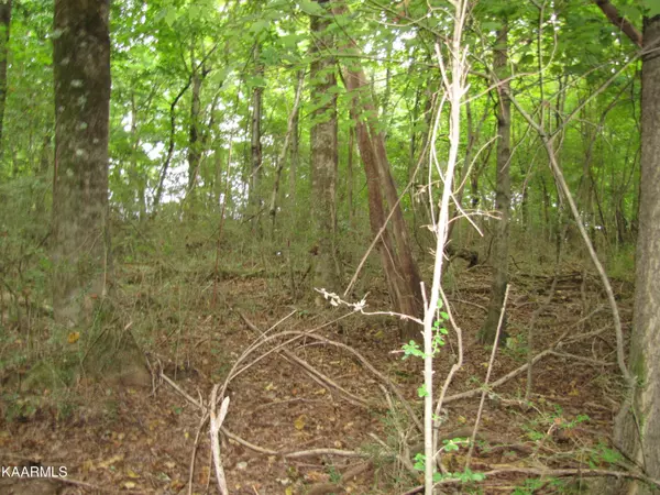 Lenoir City, TN 37772,Hwy70 E