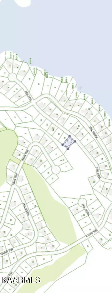 Vonore, TN 37885,114 Eladi Tr