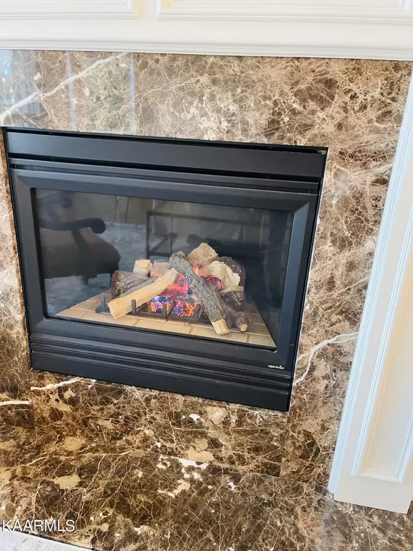 Vonore, TN 37885,265 Pineberry DR