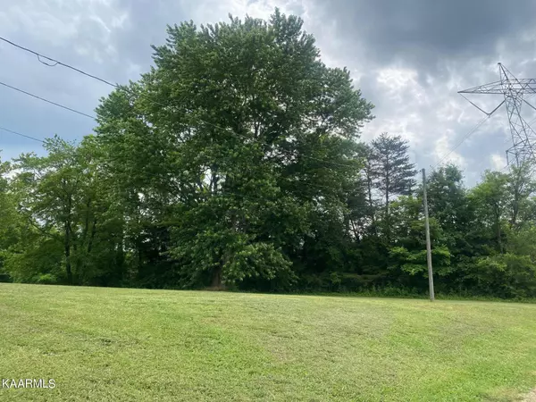 Friendsville, TN 37737,205 Disco Loop Rd