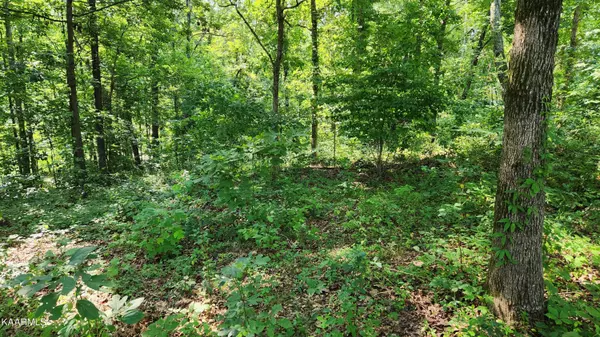 Friendsville, TN 37737,1056 Wilderness Rd