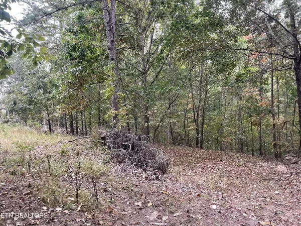 Loudon, TN 37774,7909 Poplar Springs Rd