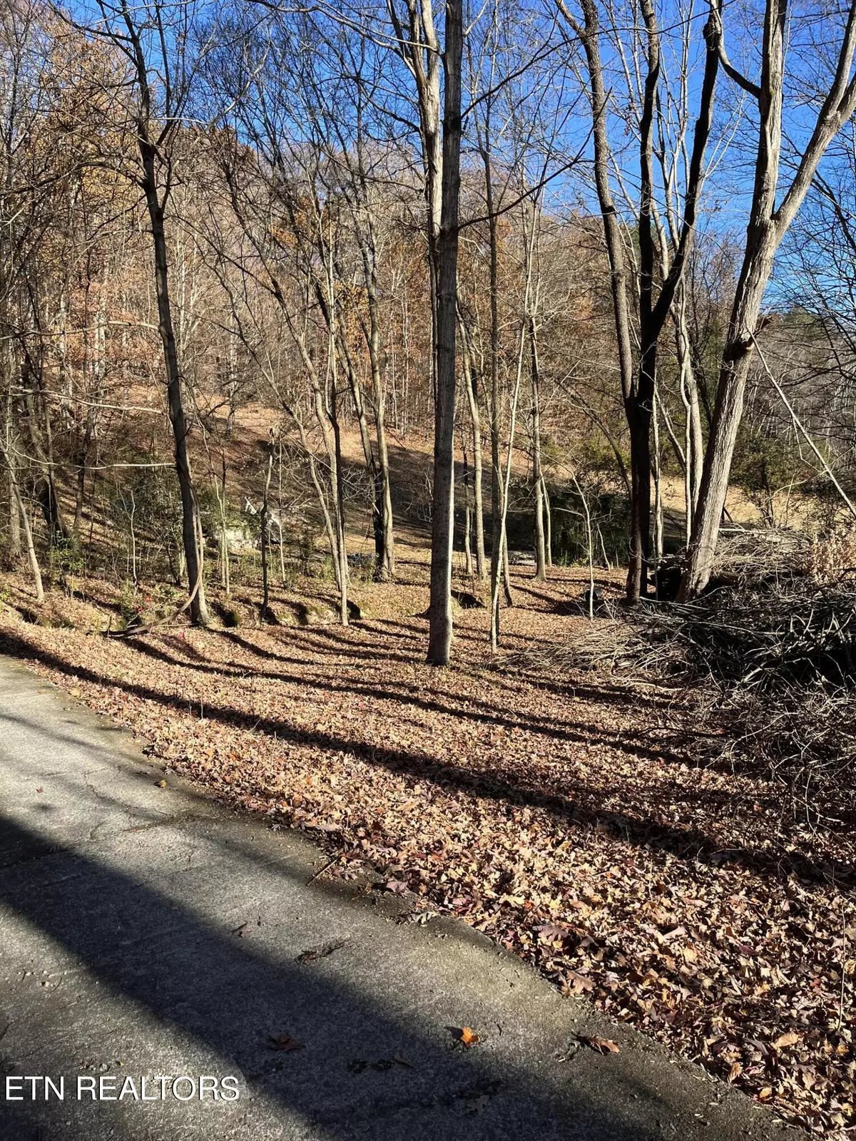 Philadelphia, TN 37846,224 Pattie Gap Rd