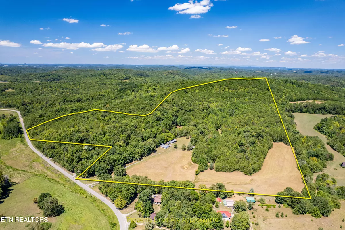 Tellico Plains, TN 37385,3865 Ballplay Rd