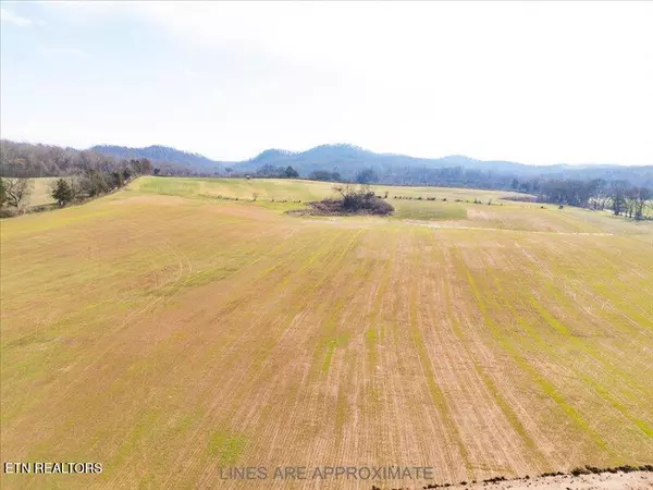 Greenback, TN 37742,21075 Meadow Rd