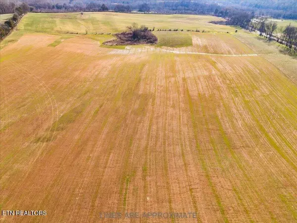 Greenback, TN 37742,21075 Meadow Rd