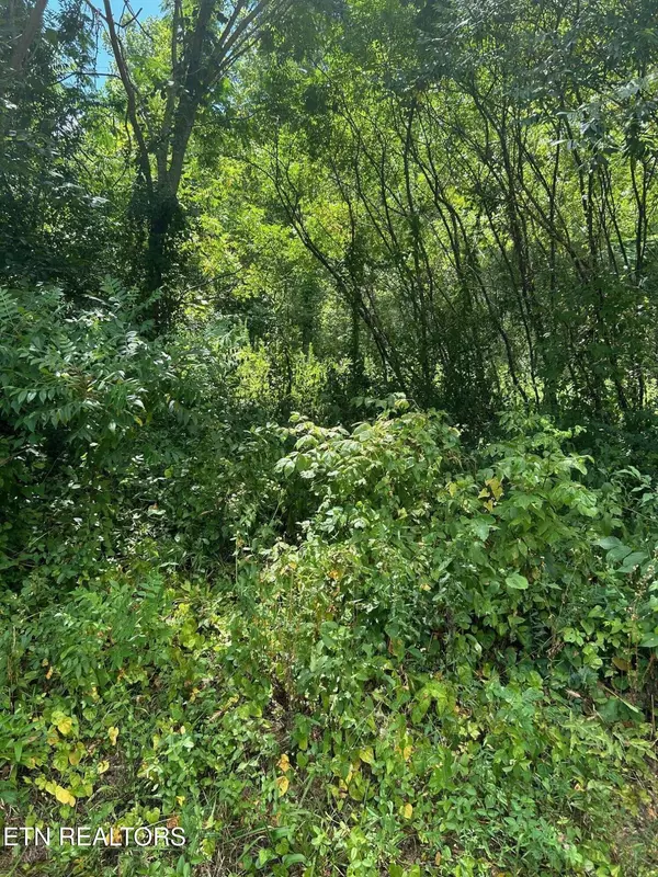 Vonore, TN 37885,Antioch Church Rd