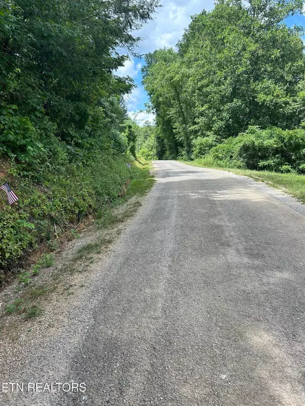 Vonore, TN 37885,Antioch Church Rd