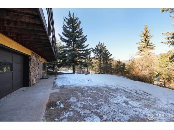 Lyons, CO 80540,358 Deer