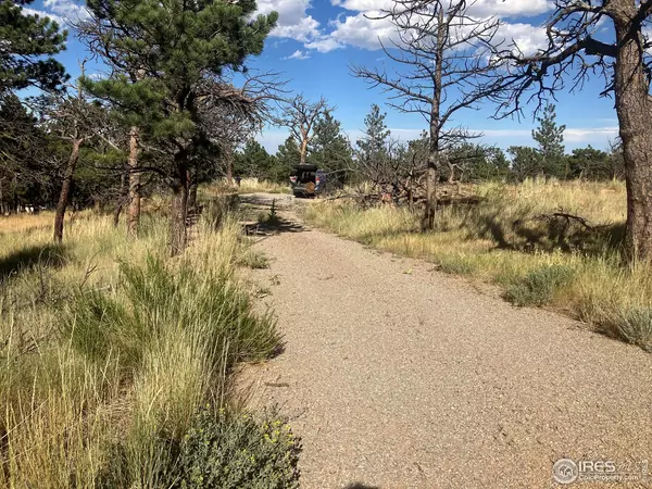 Lyons, CO 80540,651 Quartz