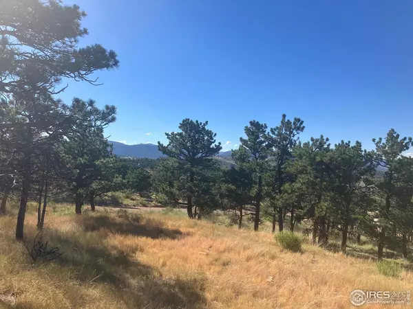 651 Quartz, Lyons, CO 80540