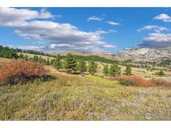 Drake, CO 80515,491 Snow Top