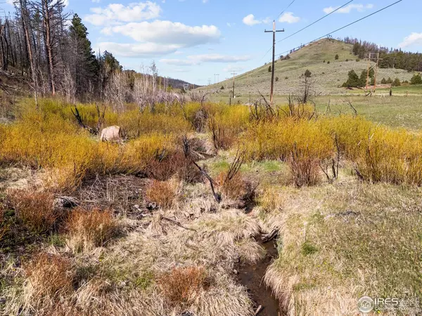 6651 W County Road 68c, Red Feather Lakes, CO 80545