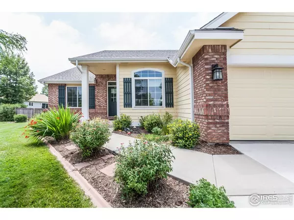 Severance, CO 80550,515 Limber Pine