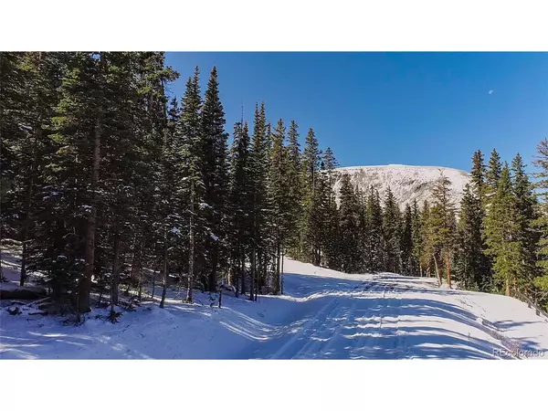 543 Camron, Breckenridge, CO 80424