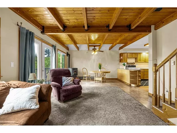 Divide, CO 80814,53 Lake