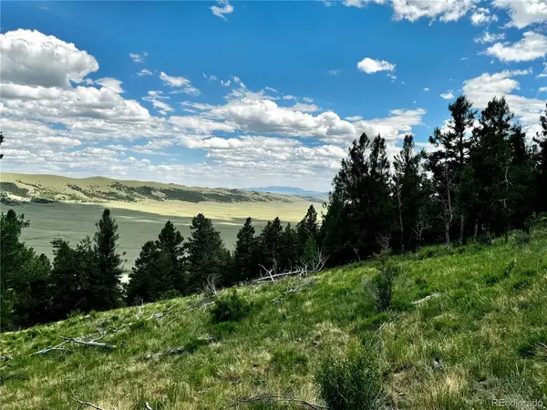 Fairplay, CO 80440,5366 Middle Fork