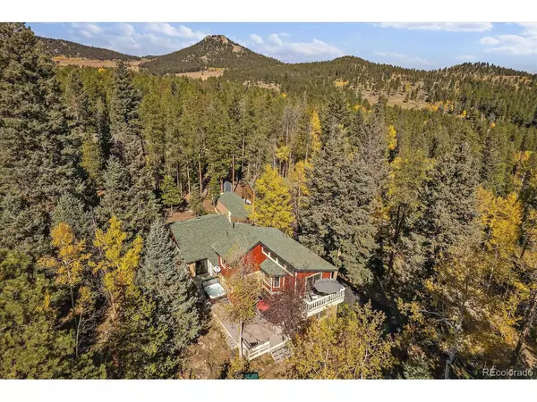 Conifer, CO 80433,10973 Milliken