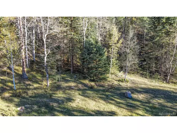 Cripple Creek, CO 80813,308 Idlewild