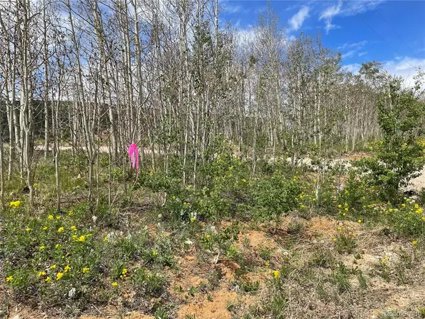 Fairplay, CO 80440,2717 High Creek