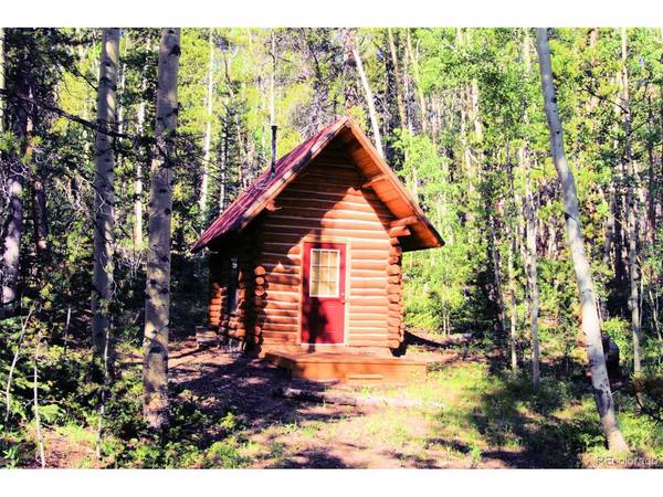 Kens, Fairplay, CO 80440