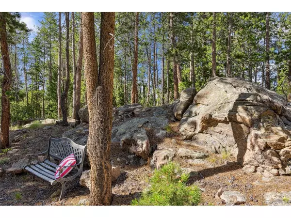 Morrison, CO 80465,10668 Crystal