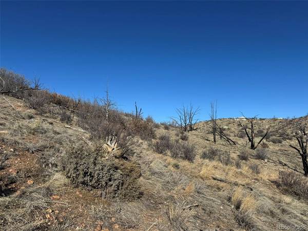 F Path and 37th, Cotopaxi, CO 81223