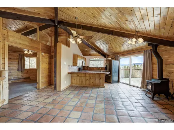 Fairplay, CO 80440,1764 Redhill