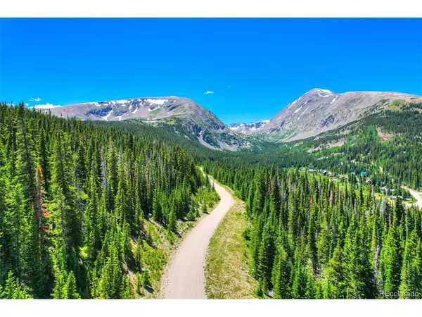 253 CR 805, Breckenridge, CO 80424