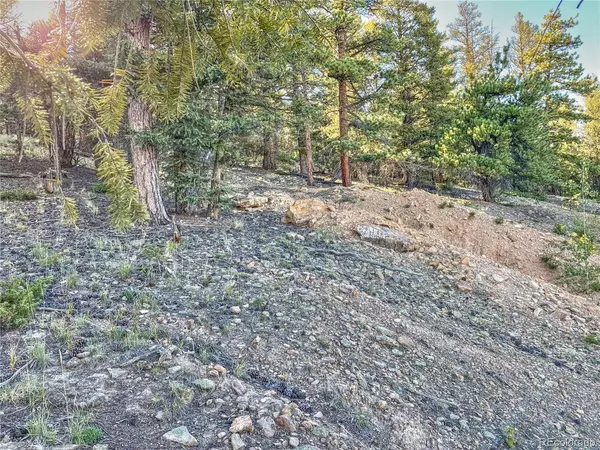 Fairplay, CO 80440,2359 Redhill