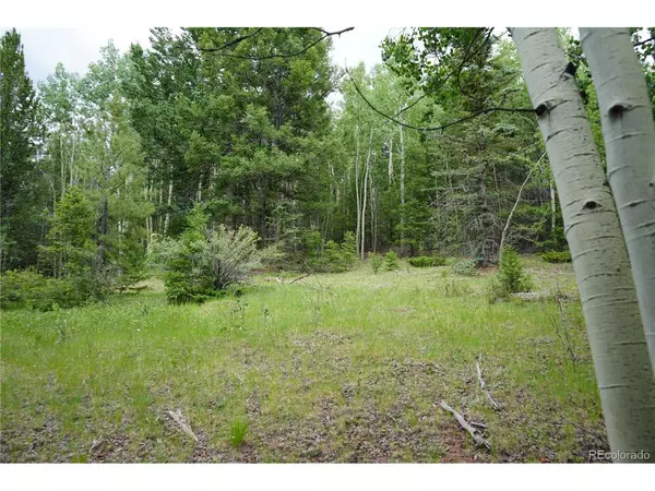 Cripple Creek, CO 80813,1406 Monarch