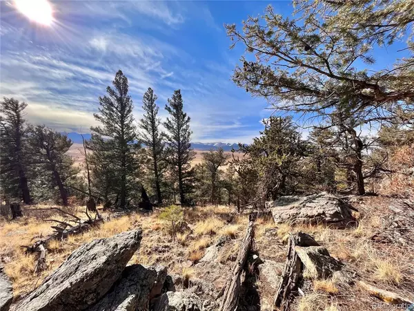 Fairplay, CO 80440,2675 Middle Fork Vista Lot 198
