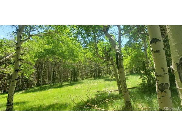 Fort Garland, CO 81133