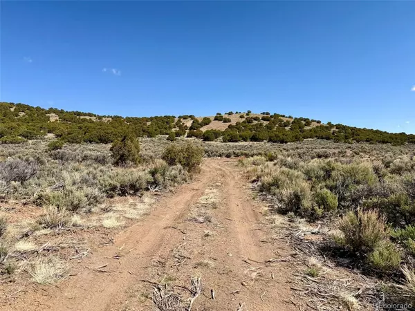 Antonito, CO 81120,0 County Road 9