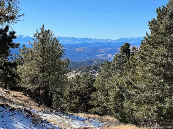 740 CR 89, Cripple Creek, CO 80813