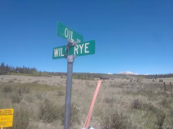 Fairplay, CO 80440,25 Wild Rye