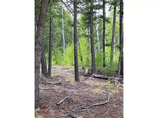 California, Mosca, CO 81101