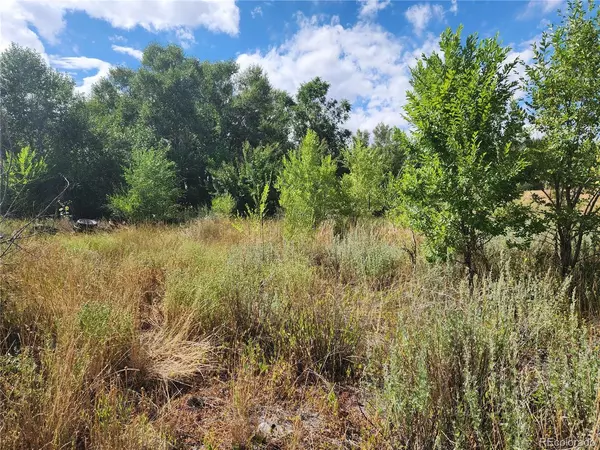 Antonito, CO 81120,0 State