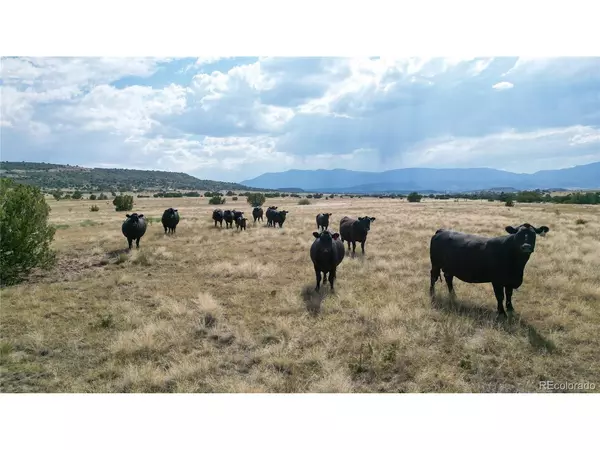 Beulah, CO 81023,6913 Burnt Mill