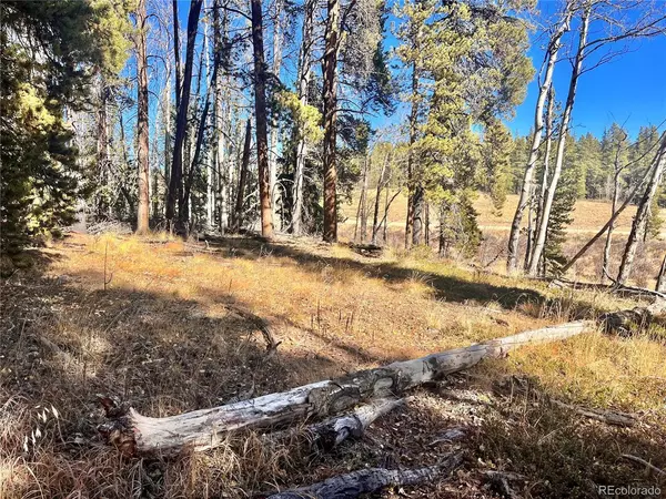 Fairplay, CO 80440,610 Lakeside