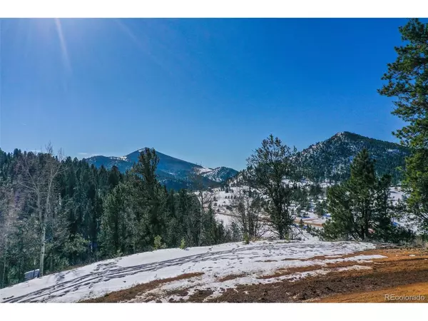 456 Idlewild, Cripple Creek, CO 80813