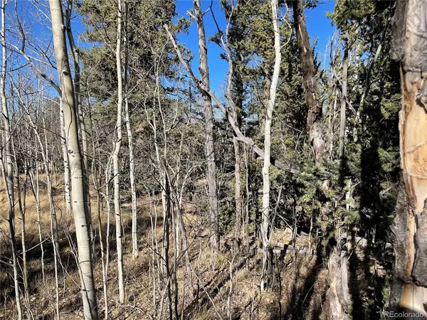 540 Turk Pony, Como, CO 80456