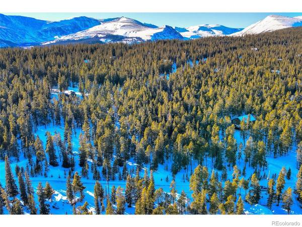 603 Bobcat, Fairplay, CO 80440