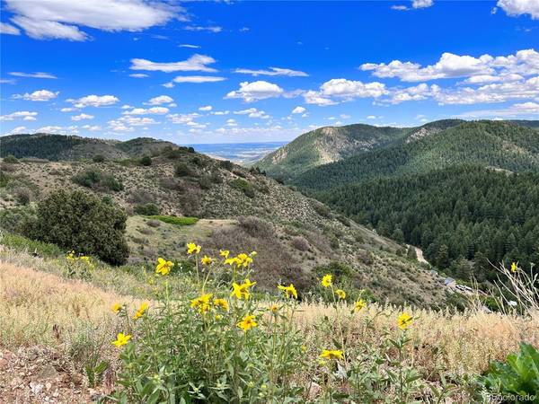 0 N Canyon, Littleton, CO 80127